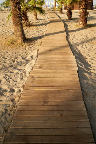 istock Wooden path in sand on a beach with palm trees 1458580551