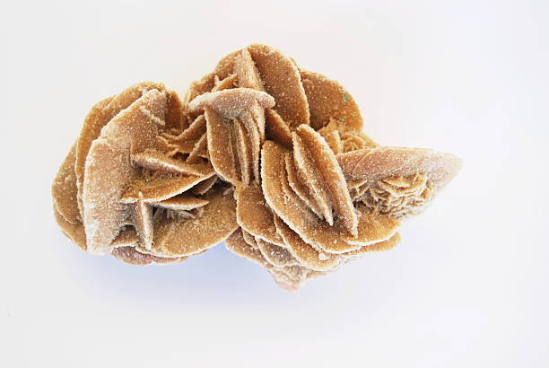 Desert rose stock photo