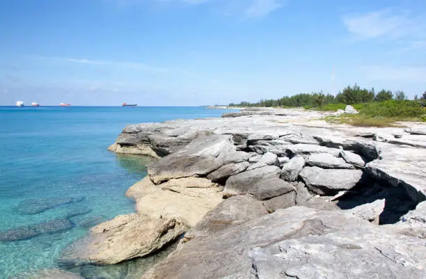 Photo of Grand Bahama Coastline Under Depp Erosion