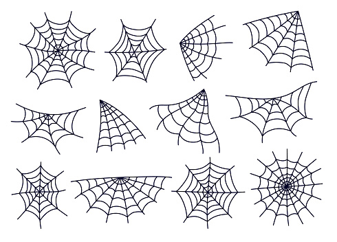 Spider web cobweb spiderweb net isolated on white background set. Vector cartoon graphic design element