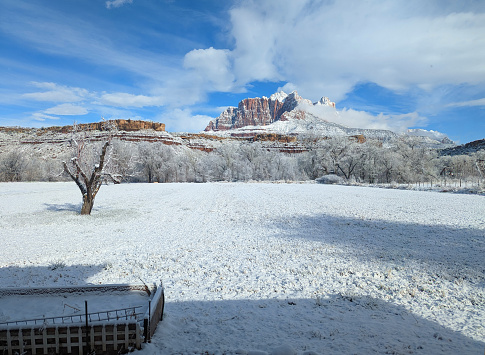 Mt Kinesava in Zion National Park and snow-covered pasture and apple tree