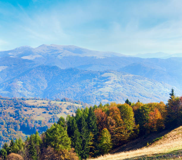 istock Sunny autumn mountain forest on mountainside (Carpathian, Ukraine) 1458595822