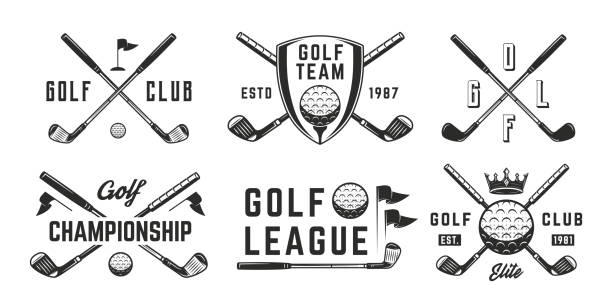 zestaw logo golfa. 6 emblematów golfowych z ikonami kija golfowego, piłki, korony i flagi. hipsterski design. godło, szablony plakatów. ilustracja wektorowa - golf stock illustrations