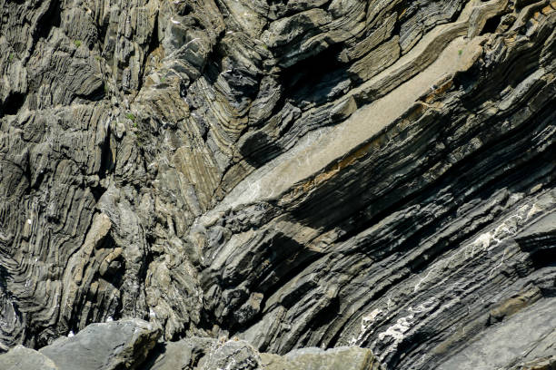 istock background, in cinque terre, Liguria, Italy 1458610411