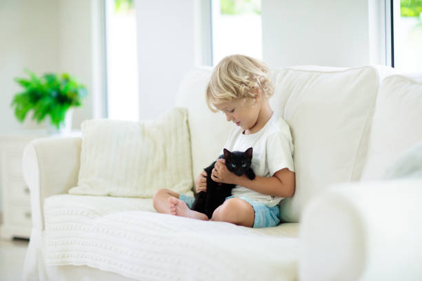 istock Child playing with baby cat. Kid and kitten. 1458612174
