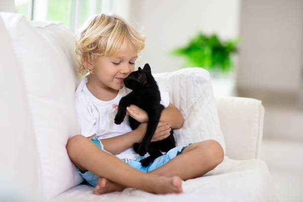 Child playing with baby cat. Kid and kitten.