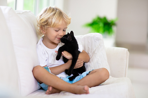 Child playing with baby cat. Kid holding black kitten. Little boy snuggling cute pet animal sitting on white couch in sunny living room at home. Kids play with pets. Children and domestic animals.