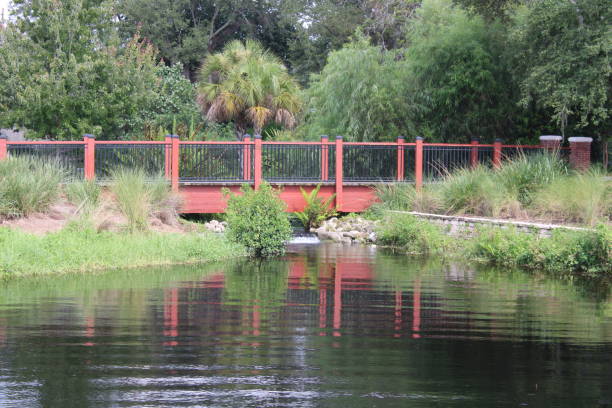 istock Park and skyline in Tampa Florida 1458612661