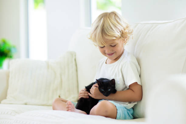 istock Child playing with baby cat. Kid and kitten. 1458612672