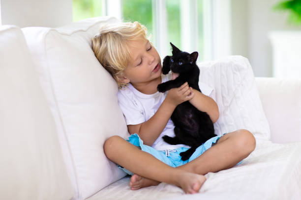 istock Child playing with baby cat. Kid and kitten. 1458612863