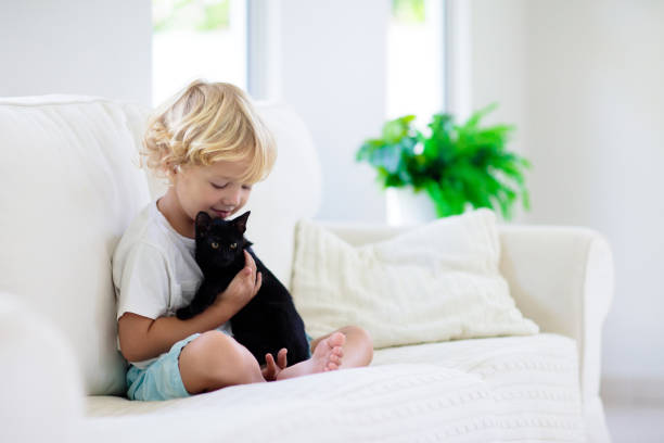 istock Child playing with baby cat. Kid and kitten. 1458613624