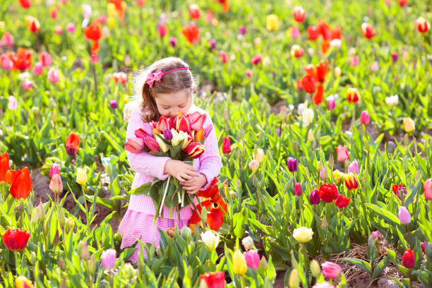 Free Stock Photo of Little Girl in flower field | Download Free Images ...