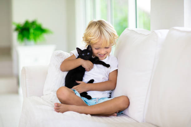 istock Child playing with baby cat. Kid and kitten. 1458614735