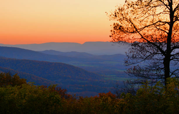 istock Shenandoah National Park 1458618513