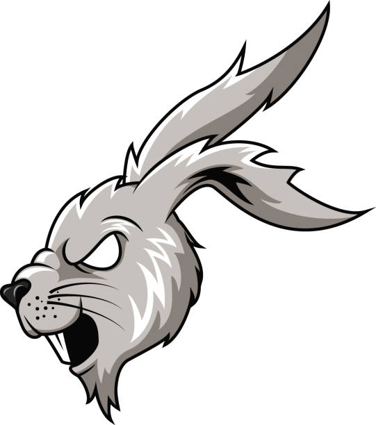 110+ Aggressive Hare Stock Photos, Pictures & Royalty-Free Images - iStock