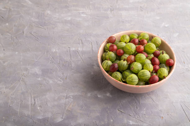 istock Fresh red and green gooseberry in ceramic bowl on gray concrete, side view, copy space. 1458633359