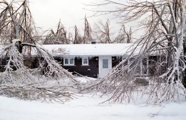 Nature...This shot shows a residential area near Montreal, after the 1998 Ice Storm. These row houses were unaccessible for weeks with power outages, and because of falling trees with heavy ice on branches and wires. This photo is from a scanned slide.