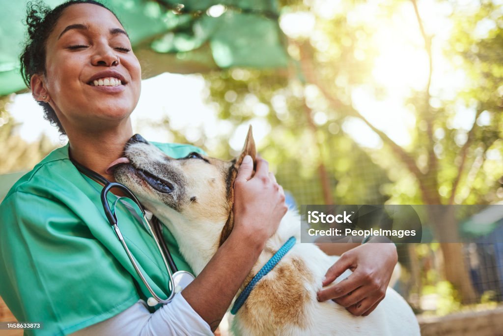 Vet, happy and nurse with a dog in nature doing medical healthcare checkup and charity work for homeless animals. Smile, doctor or veterinarian loves nursing, working or helping dogs, puppy and pets Veterinarian Stock Photo