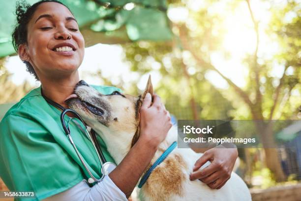 Vet Happy And Nurse With A Dog In Nature Doing Medical Healthcare Checkup And Charity Work For Homeless Animals Smile Doctor Or Veterinarian Loves Nursing Working Or Helping Dogs Puppy And Pets Stock Photo - Download Image Now