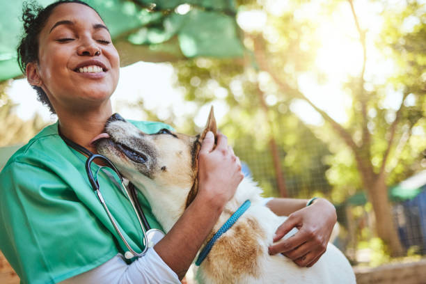 vet, happy and nurse with a dog in nature doing medical healthcare checkup and charity work for homeless animals. smile, doctor or veterinarian loves nursing, working or helping dogs, puppy and pets - veterinary medicine imagens e fotografias de stock