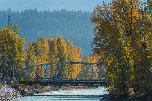 Bridge of a river in fall with trees