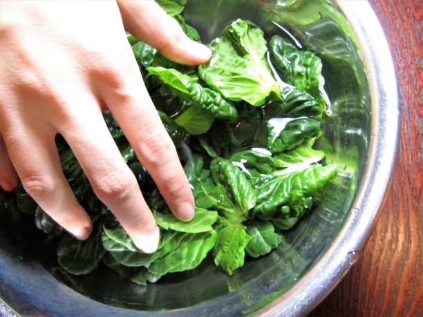 istock Woman hand with green kale leaves. 1458642363
