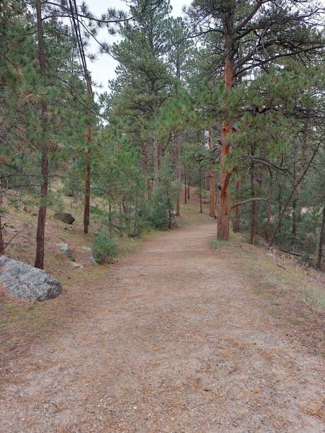 istock Hiking Path in Rocky Mountain State Park 1458642834
