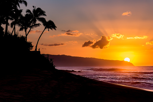 Puesta de sol sobre olas y palmeras en Sunset Beach, Hawái photo