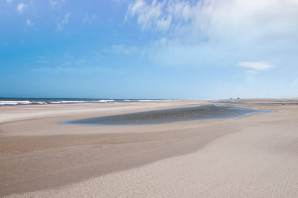 istock beautiful sandy beach and sea in brazil 1458651440