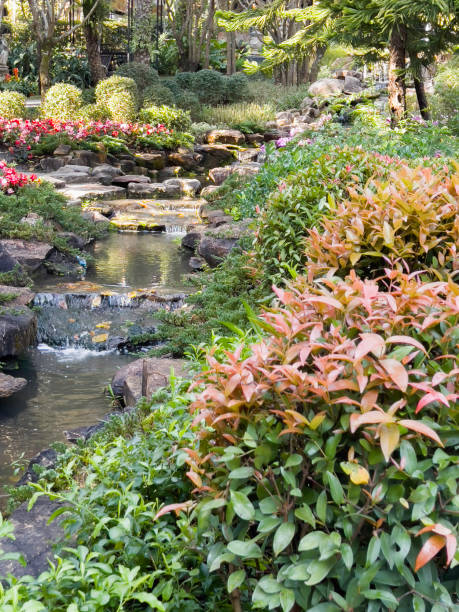 istock Tropical landscaping in home garden 1458663533
