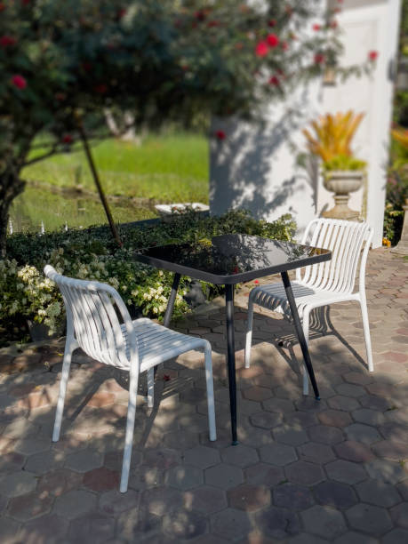 istock Tropical landscaping in home garden 1458663586