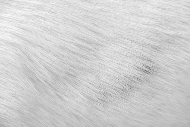 Abstract background close-up of soft peach orange faux fur fabric