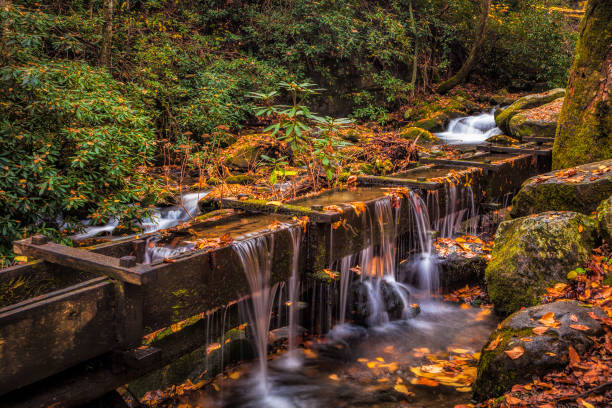 istock Autumn Stream in the Smoky Mountains 1458673749