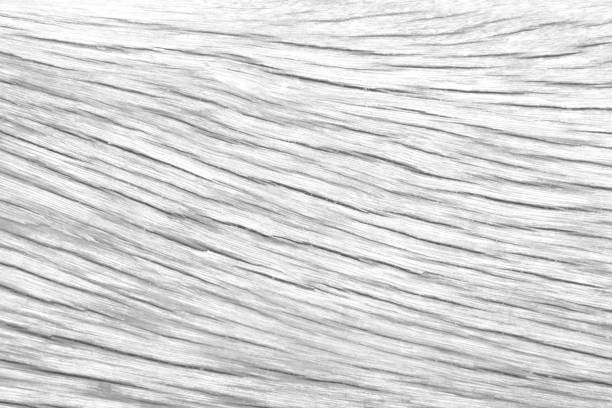 istock Old wood texture with natural white grey background 1458676599