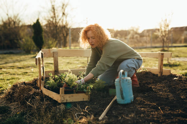 istock woman gardening in backyard 1458680127