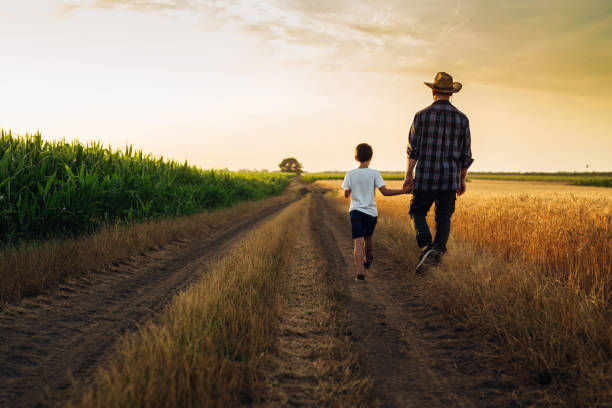 father and son outdoor father and son holding hands walking on country road on wheat field kid holding fathers hand stock pictures, royalty-free photos & images