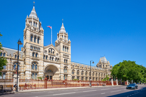 The Natural History Museum in London is a museum that exhibits a vast range of specimens from various segments of natural history. It is one of three major museums on Exhibition Road in South Kensington, the others being the Science Museum and the Victoria and Albert Museum.