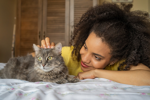 Young afro woman at home, petting and playing with her domestic cat,  laying on the bed