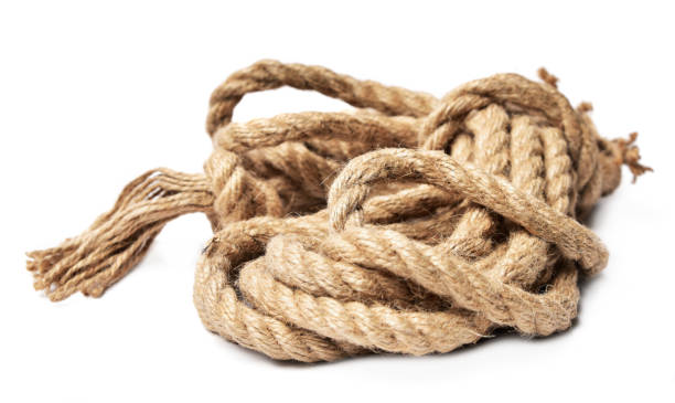 istock Old strong ring rope on a white background isolated. 1458683115
