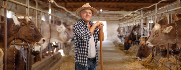 istock Herder posing on a cow farm 1458690308