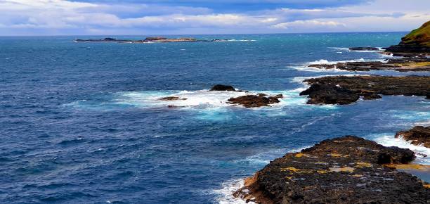 istock Phillip Island - Noobies 1458691108