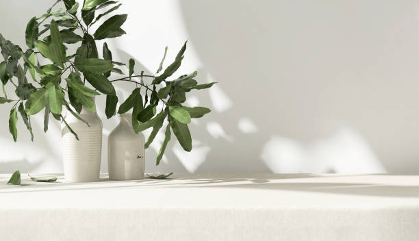 istock Table counter, green tree in white ceramic vase on beige tablecloth in sunlight, tropical leaf shadow on wall 1458700243