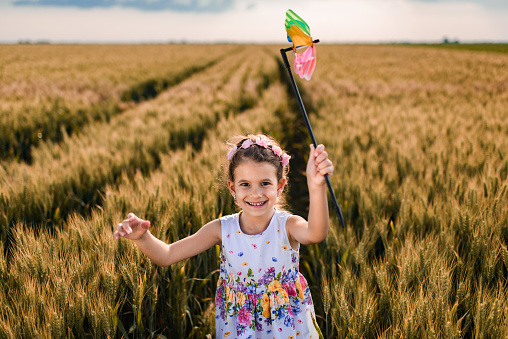 Happy little girl is pretending to be an airplane, while running through green wheat field.