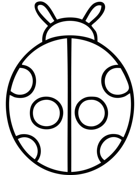 Line Drawing Cartoon Of A Lady Bug Stock Illustration - Download Image Now  - Art, Art Product, Cartoon - iStock