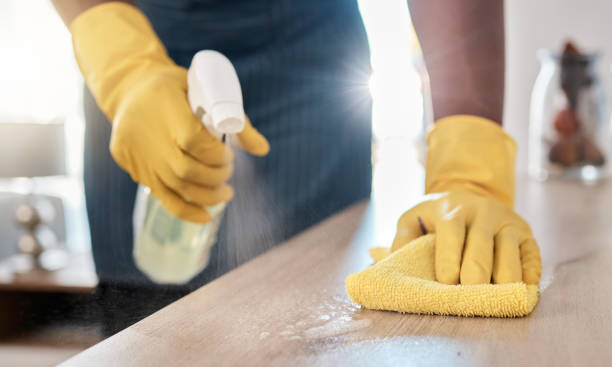 Black man hands, spray bottle or cleaning cloth for wooden table or desk in house living room, home or office building. Zoom, cleaner or maid service with fabric product for bacteria hygiene wellness manos de hombre negro, botella de spray o paño de limpieza para mesa o escritorio de madera en la sala de estar, casa o edificio de oficinas. servicio de zoom, limpieza o limpieza con producto de tela para el bienestar de la higiene de las bacterias