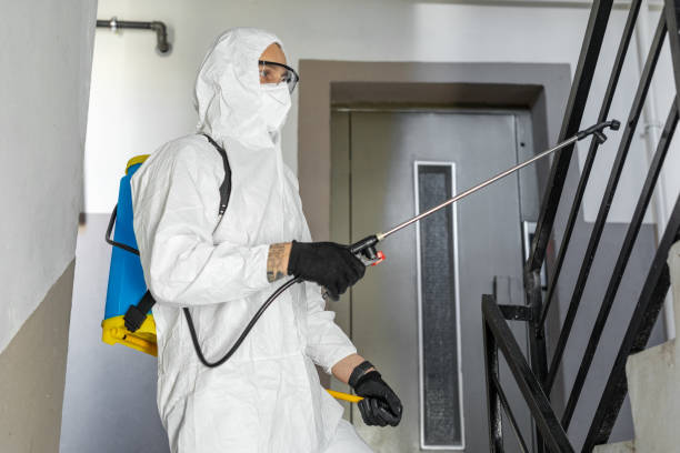 un uomo che indossa una tuta protettiva e disinfetta e spruzza con prodotti chimici spray edificio residenziale - scale insect foto e immagini stock