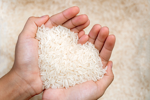 Las semillas de arroz jazmín en las manos de la mujer se asemejan a corazones. photo