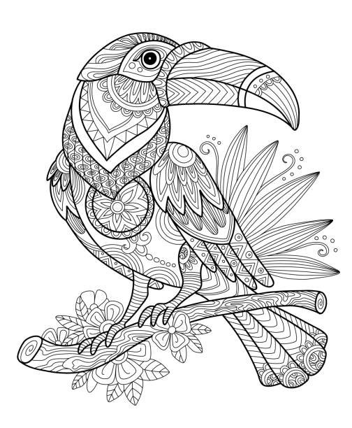 toucan vogel erwachsene antistress malvorlage vektor - mandala tiere stock-grafiken, -clipart, -cartoons und -symbole