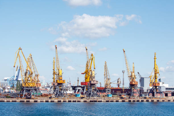 istock Heavy lifting harbor cranes in the cargo seaport. 1458709385