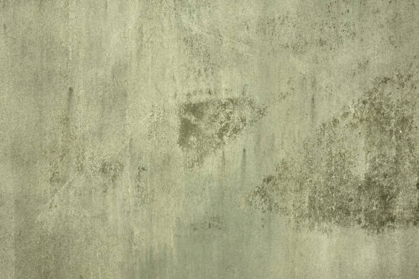 istock white-black-gray wall textures for background,Abstract backgrounds. 1458710204